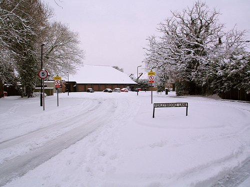 Snow Scene (February 2009)