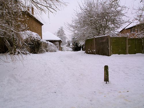Snow Scene (February 2009)