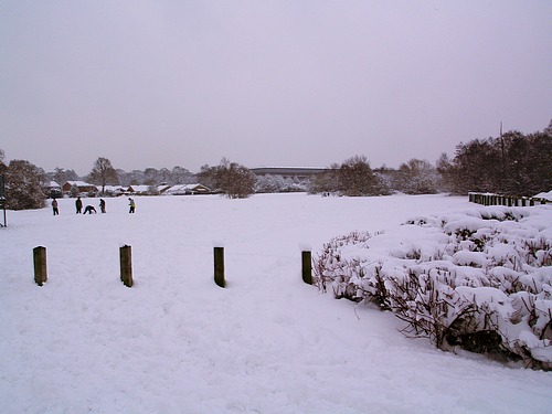 Snow Scene (February 2009)