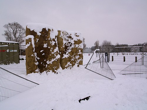 Snow Scene (February 2009)