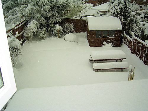 Snow Scene (February 2009)