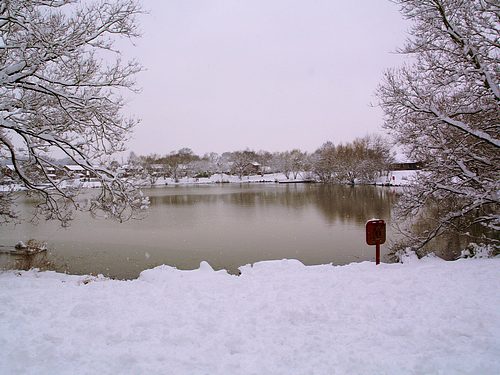 Snow Scene (February 2009)