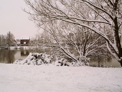 Snow Scene (February 2009)