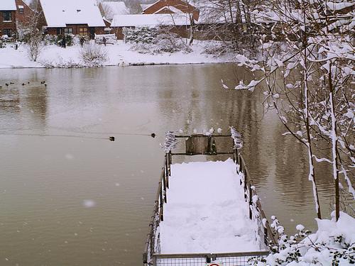 Snow Scene (February 2009)