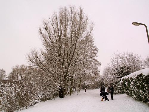 Snow Scene (February 2009)