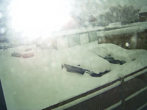 Snow Scene (February 2009)