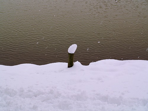 Snow Scene (February 2009)