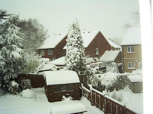 Snow Scene (February 2009)
