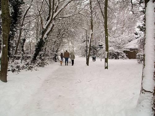 Snow Scene (February 2009)
