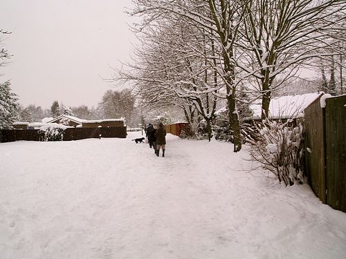 Snow Scene (February 2009)