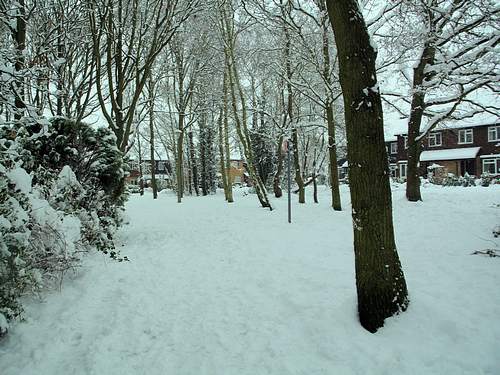 Snow Scene (February 2009)