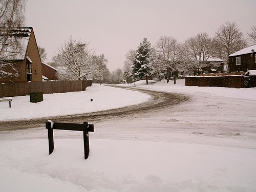 Snow Scene (February 2009)