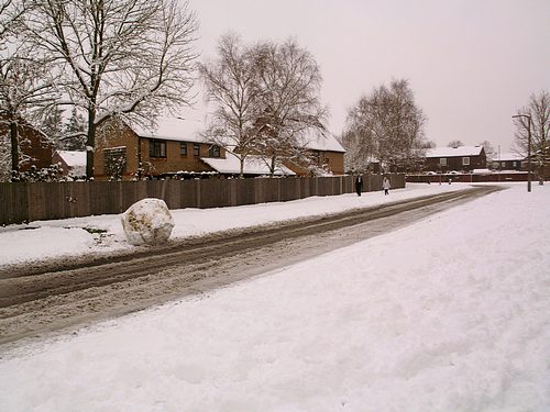 Snow Scene (February 2009)