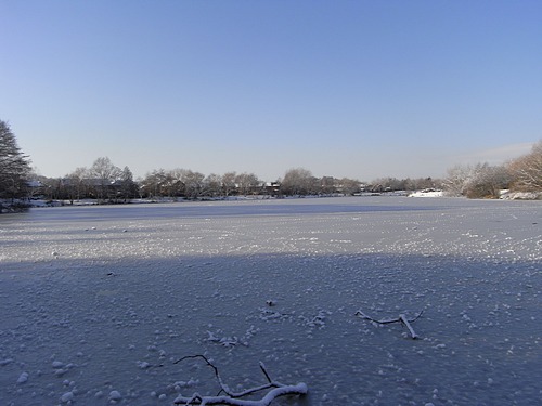 Snow Scene (January 2010)
