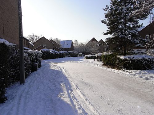Snow Scene (January 2010)